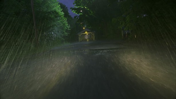 Diving in the rain 2