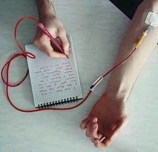 14591840_206280276476434_657622131721599072_n