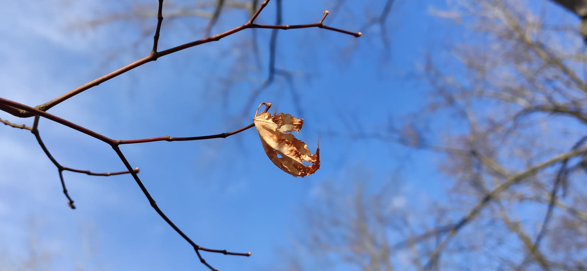 81573809_473936073526495_3639249712592191488_n