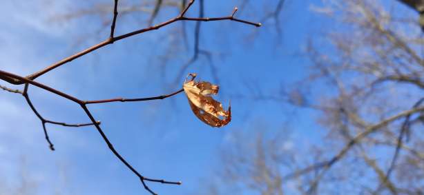 81573809_473936073526495_3639249712592191488_n